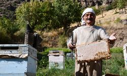 Hakkari'de Arıcılığa Adanmış Yarım Asırlık Yaşam