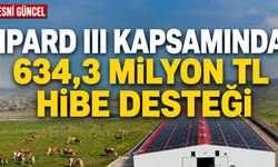 IPARD III Kapsamında 634,3 Milyon TL Hibe Desteği