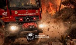 Şiddetli Rüzgâr Uyarısı: Ormanlarda Ateş Yakmayın