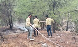 Kilis'te Yıldırımın Yaratığı Yangın Söndürüldü
