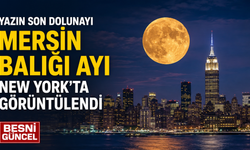 Mersin Balığı Ayı New York Semalarında Görüntülendi