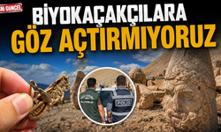 Nemrut Dağı’nda biyokaçakçılık operasyonu: 1,4 milyon TL ceza