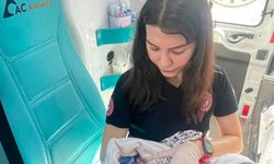 Şanlıurfa'da hastaneye giderken ambulansta doğurdu