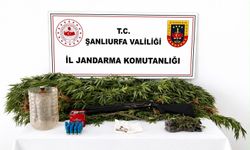 Şanlıurfa'da Yasa Dışı Madde Operasyonları: 3 Gözaltı