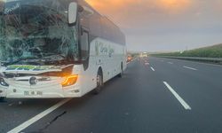 Şanlıurfa'da Trafik Kazasında İki Kişi Yaralandı