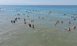Gençler Şehitkamil Deniz Kampıyla Tatilin Keyfini