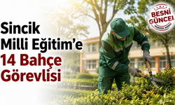 Sincik Milli Eğitim’de 14 Kişiye TYP İş İmkânı