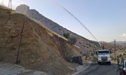 Silopi'deki Orman Yangını Kontrol Altına Alındı