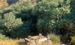 Şırnak'ta Araç Şarampole Devrildi: 2 Yaralı