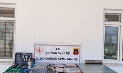 Şırnak'ta Kaçakçılık ve Asayiş Operasyonları: 140 İşlem