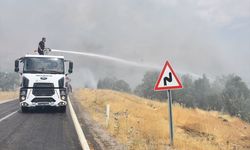 Şırnak'ta orman yangınına müdahale sürüyor