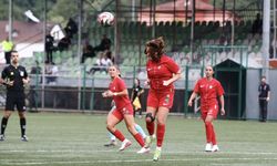 Amed Sportif, Giresun Sanayispor'u 7-0 mağlup etti