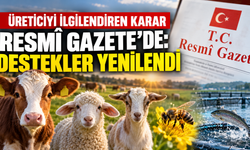 Kuzu, Oğlak, Arı ve Buzağı Destekleri Artırıldı: İşte Yeni Tutarlar
