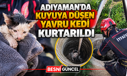 Adıyaman’da Kuyuya Düşen Yavru Kedi Kurtarıldı