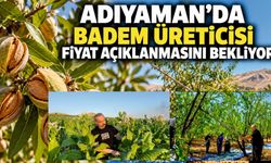 Adıyaman’da badem üreticisi fiyat açıklanmasını bekliyor