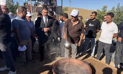 Adıyaman'da Bağ Bozumu Festivali düzenlendi
