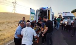 Besni'de Trafik Kazası: 8 Yaralı