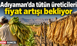 Adıyaman’da tütün üreticileri fiyat artışı bekliyor