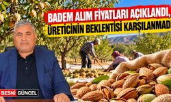 Turanlı: Badem Fiyatları Maliyetleri Karşılamıyor