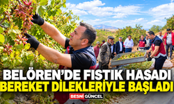 Belören Beldesi’nde fıstık hasadı üreticileri buluşturdu