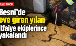 Besni’de Eve Giren Yılan İtfaiye Ekiplerince Yakalandı