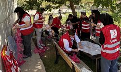 Cizre'de Gazze'li çocuklar için umut uçurtmaları havalandı