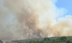 Silvan'da Ormanlık Alan Yangınına Müdahale Ediliyor