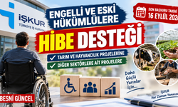 İŞKUR’dan Engelli ve Eski Hükümlülülere Hibe Desteği