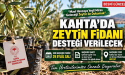 Kahta’da zeytin fidanı desteği için başvurular başladı