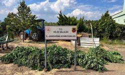 Kilis'te Madde Operasyonunda Gözaltı