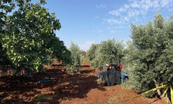 Kilis'te Traktörden Düşen Sürücü Hayatını Kaybetti