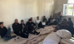 Urfa'da Düzensiz Göçle Mücadelede 143 Kişiye İşlem