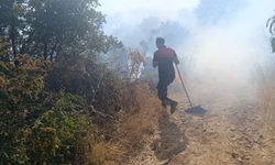 Siirt'te Orman Yangınına Ekipler Müdahale Ediyor