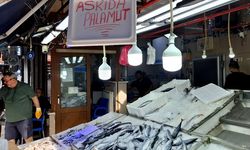 Sinop'ta Askıda Palamut Uygulaması Başlatıldı