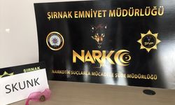 Şırnak'ta 36 şüpheli hakkında işlem yapıldı