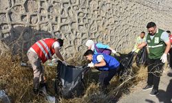 Şırnak'ta Dünya Temizlik Gününde Çevre Temizliği