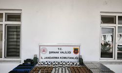 Şırnak'ta kaçakçılık ve asayiş operasyonlarında 1 şüpheli tutuklandı