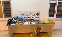 Şırnak'taki Operasyonlarda 196 Şüpheliye Adli İşlem