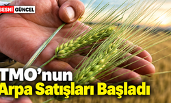 TMO Stoklarındaki Arpanın Satışına Başlandı