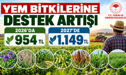 Yem Bitkilerine Destek Artışı: 2026’da 954 TL