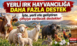 Yerli Irk Hayvancılığa Daha Fazla Destek