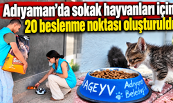 4 Ekim öncesi sokak hayvanlarına mama ve su desteği