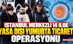 Yasa Dışı Üreme Hücresi Ticaretine Operasyon