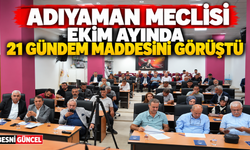 Adıyaman Meclisi kentin gündemindeki projeleri görüştü