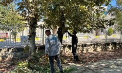 Adıyaman’da Mezarlıklarda Mevsimsel Bakım Başladı