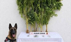 Batman'da kaçakçılık operasyonunda 27 kişiye adli işlem
