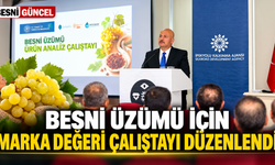 Besni Üzümü Dünya Pazarlarına Açılmayı Hedefliyor