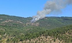 Büyükorhan'da Orman Yangınına Müdahale Sürüyor