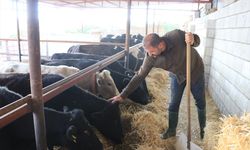 Devlet Desteğiyle Sürüsünü 40 Hayvana Çıkardı
