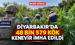 Diyarbakır’da 48 Bin 579 Kök Kenevir ve Skunk İmha Edildi
